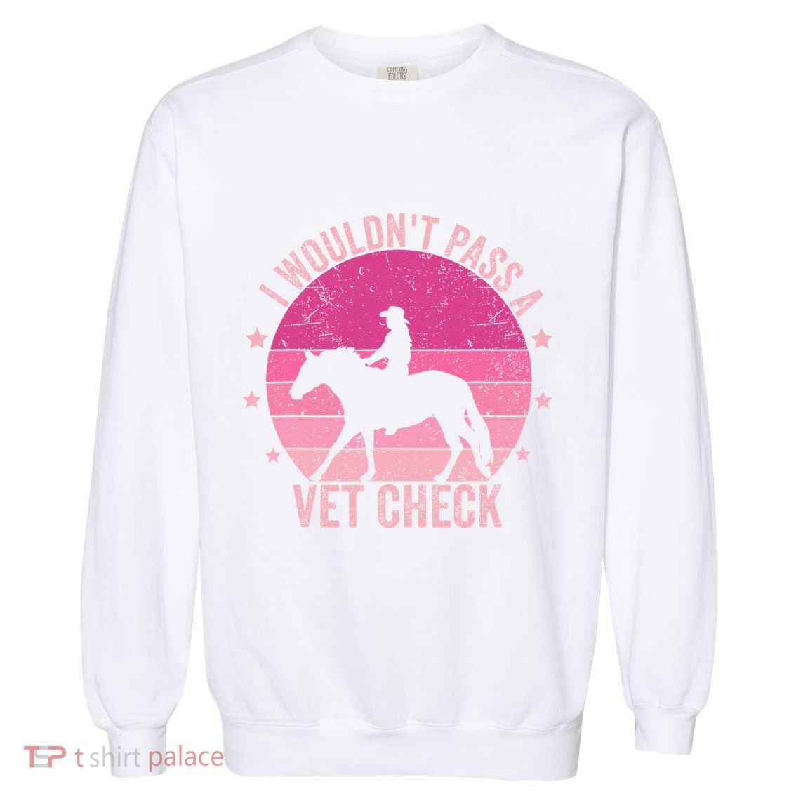 I WouldnT Pass A Vet Check Funny Vet Tech Horse Riding Mom Garment-Dyed Sweatshirt