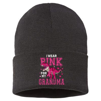 I Wear P.I.N.K For My Grandma Dinosaur Breast Cancer Awareness Sustainable Knit Beanie