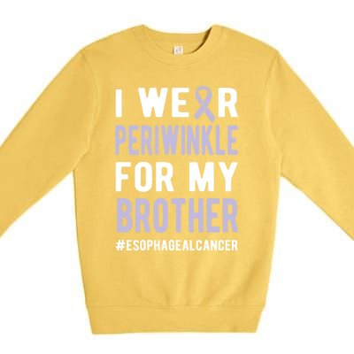 I Wear Periwinkle For My Brother Esophageal Cancer Warrior Gift Premium Crewneck Sweatshirt