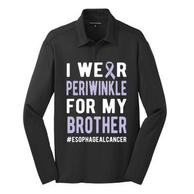 I Wear Periwinkle For My Brother Esophageal Cancer Warrior Gift Silk Touch Performance Long Sleeve Polo