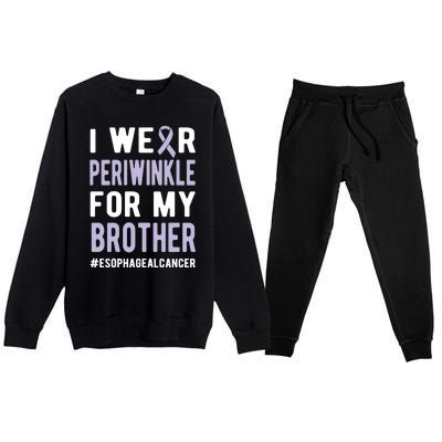 I Wear Periwinkle For My Brother Esophageal Cancer Warrior Gift Premium Crewneck Sweatsuit Set