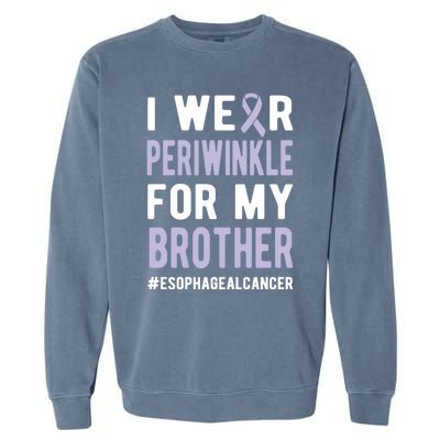 I Wear Periwinkle For My Brother Esophageal Cancer Warrior Gift Garment-Dyed Sweatshirt