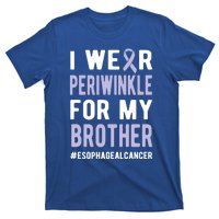 I Wear Periwinkle For My Brother Esophageal Cancer Warrior Gift T-Shirt