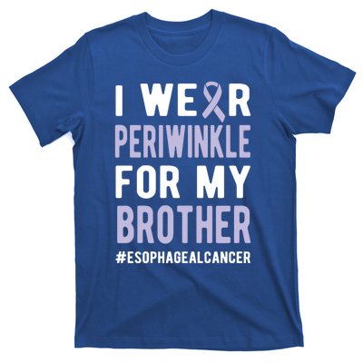 I Wear Periwinkle For My Brother Esophageal Cancer Warrior Gift T-Shirt