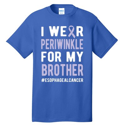 I Wear Periwinkle For My Brother Esophageal Cancer Warrior Gift Tall T-Shirt