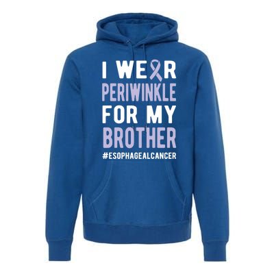 I Wear Periwinkle For My Brother Esophageal Cancer Warrior Gift Premium Hoodie