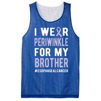 I Wear Periwinkle For My Brother Esophageal Cancer Warrior Gift Mesh Reversible Basketball Jersey Tank