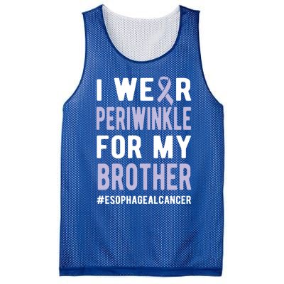 I Wear Periwinkle For My Brother Esophageal Cancer Warrior Gift Mesh Reversible Basketball Jersey Tank