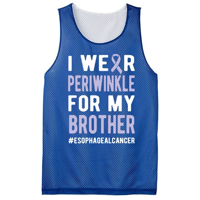 I Wear Periwinkle For My Brother Esophageal Cancer Warrior Gift Mesh Reversible Basketball Jersey Tank