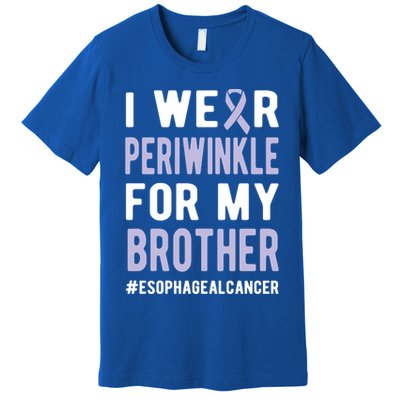 I Wear Periwinkle For My Brother Esophageal Cancer Warrior Gift Premium T-Shirt