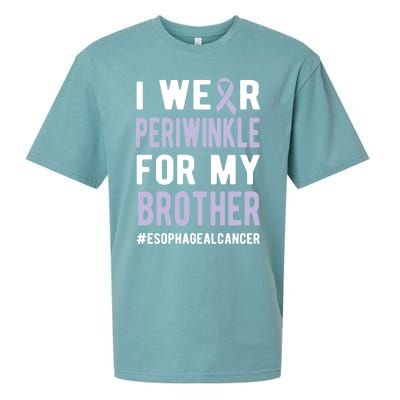 I Wear Periwinkle For My Brother Esophageal Cancer Warrior Gift Sueded Cloud Jersey T-Shirt