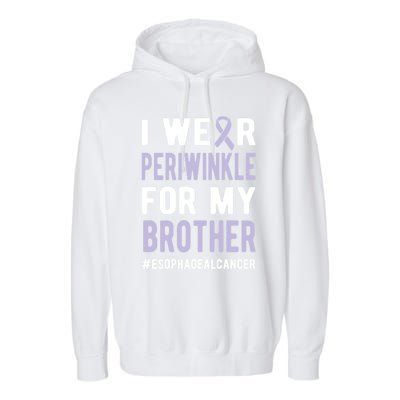 I Wear Periwinkle For My Brother Esophageal Cancer Warrior Gift Garment-Dyed Fleece Hoodie