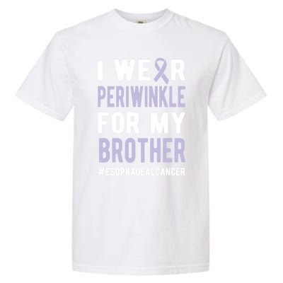 I Wear Periwinkle For My Brother Esophageal Cancer Warrior Gift Garment-Dyed Heavyweight T-Shirt