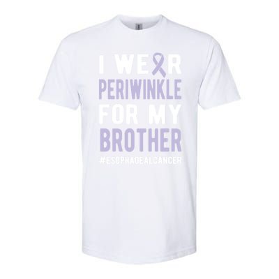 I Wear Periwinkle For My Brother Esophageal Cancer Warrior Gift Softstyle CVC T-Shirt