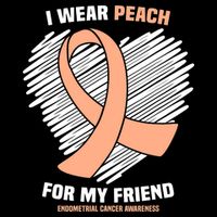I Wear Peach For My Friend Endometrial Funny Cancer Awareness Visor