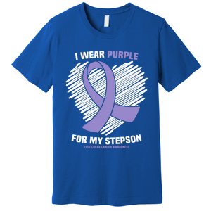 I Wear Purple For My Stepson Testicular Cancer Awareness Meaningful Gift Premium T-Shirt