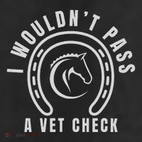 I Wouldnt Pass A Vet Check 11oz C Handle Ceramic Mug