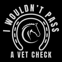 I Wouldnt Pass A Vet Check Wool Snapback Cap