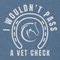 I Wouldnt Pass A Vet Check Garment-Dyed Sweatshirt