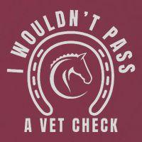 I Wouldnt Pass A Vet Check 16oz Travel Tumbler