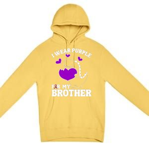 I Wear Purple For My Brother Epilepsy Awareness Premium Pullover Hoodie