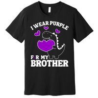 I Wear Purple For My Brother Epilepsy Awareness Premium T-Shirt