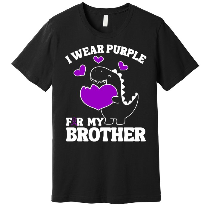 I Wear Purple For My Brother Epilepsy Awareness Premium T-Shirt