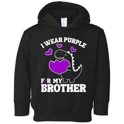 I Wear Purple For My Brother Epilepsy Awareness Toddler Hoodie