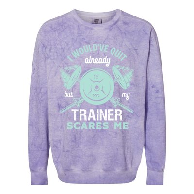 I Wouldve Quit But My Trainer Scares Me Funny Gym Workout Meaningful Gift Colorblast Crewneck Sweatshirt