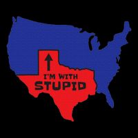 IM With Stupid Texas Map Women Gift Funny America Map Sweatshirt
