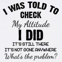 I Was Told To Check My Attitude I Did What's The Problem Garment-Dyed Sweatshirt