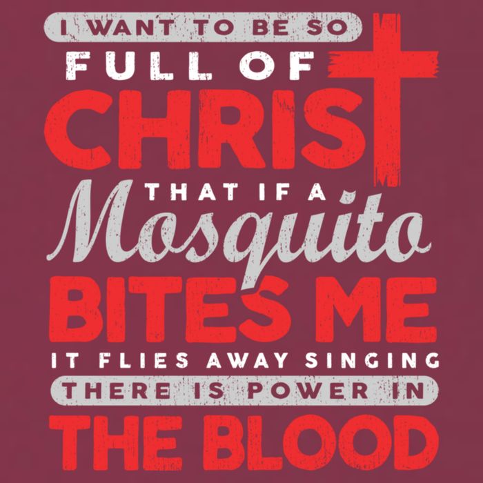 I Want To Be So Full Of Christ That If A Mosquito Bites Me 16oz Travel Tumbler