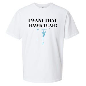 I Want That Hawk Tuah Sueded Cloud Jersey T-Shirt