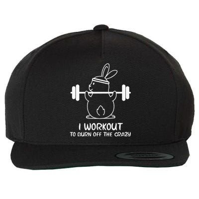 I Workout To Burn off the Crazy Funny Fitness Wool Snapback Cap