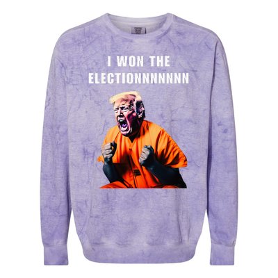 I Won The Election Funny Trump Prisoner Halloween Costume Colorblast Crewneck Sweatshirt