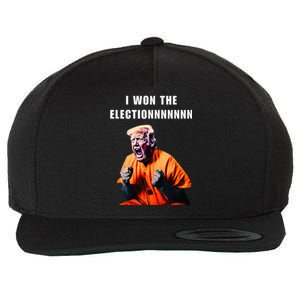 I Won The Election Funny Trump Prisoner Halloween Costume Wool Snapback Cap