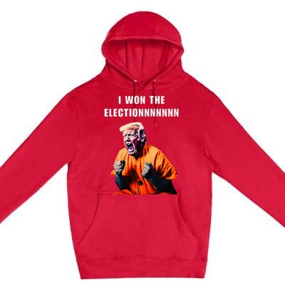 I Won The Election Funny Trump Prisoner Halloween Costume Premium Pullover Hoodie