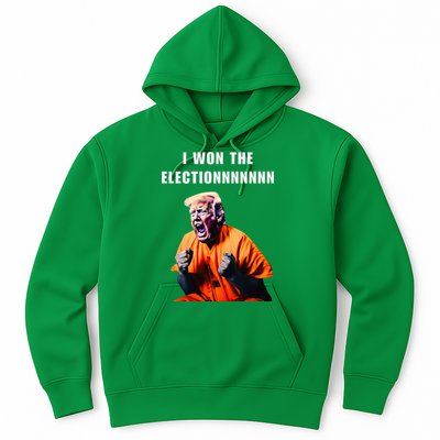 I Won The Election Funny Trump Prisoner Halloween Costume Hoodie