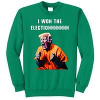 I Won The Election Funny Trump Prisoner Halloween Costume Sweatshirt