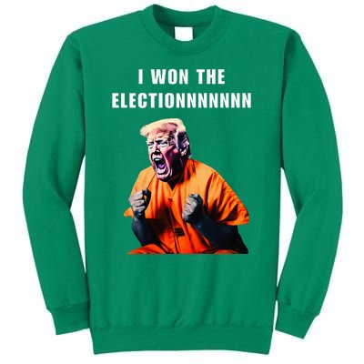 I Won The Election Funny Trump Prisoner Halloween Costume Sweatshirt