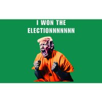 I Won The Election Funny Trump Prisoner Halloween Costume Bumper Sticker