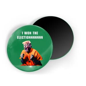 I Won The Election Funny Trump Prisoner Halloween Costume Magnet