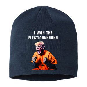 I Won The Election Funny Trump Prisoner Halloween Costume Sustainable Beanie