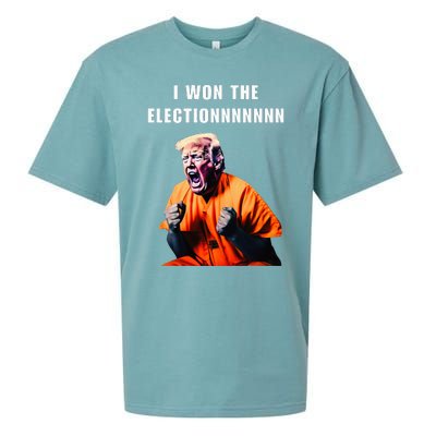 I Won The Election Funny Trump Prisoner Halloween Costume Sueded Cloud Jersey T-Shirt