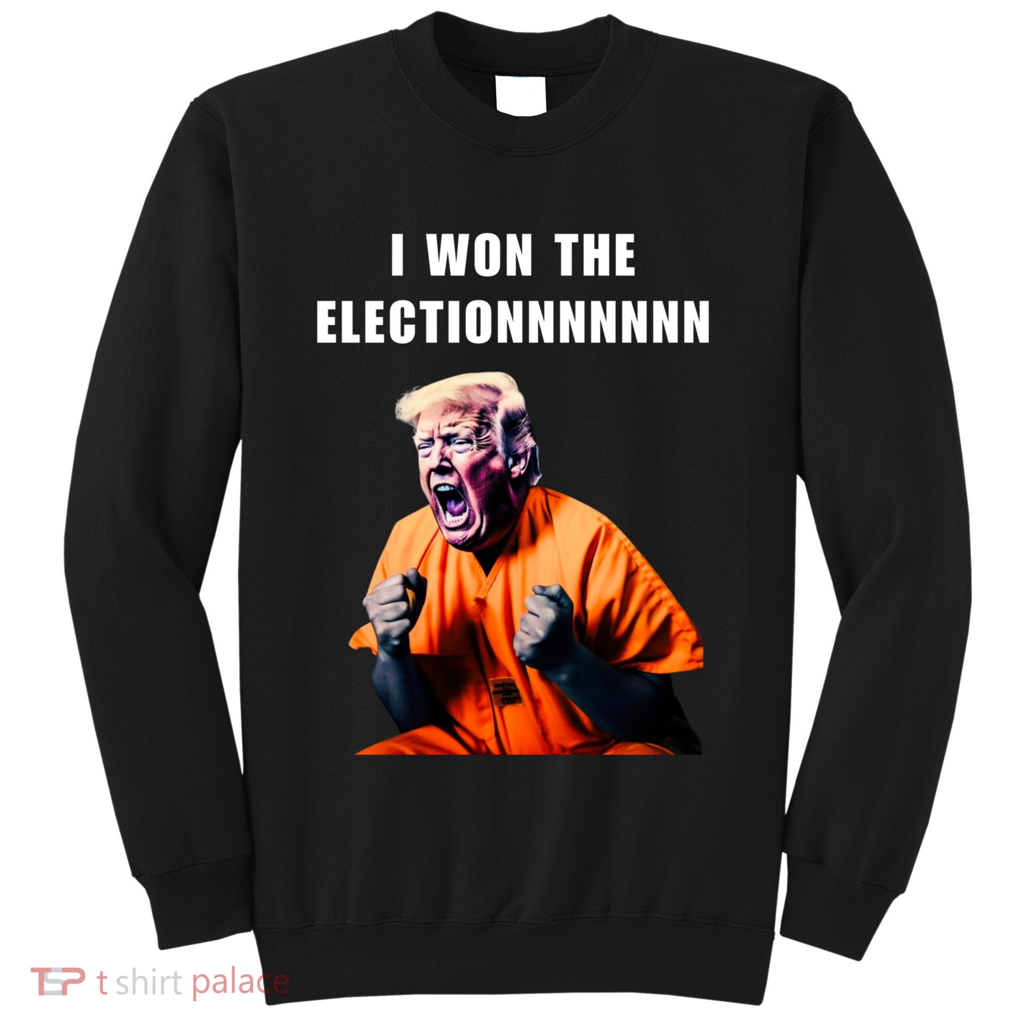 I Won The Election Funny Trump Prisoner Halloween Costume Sweatshirt