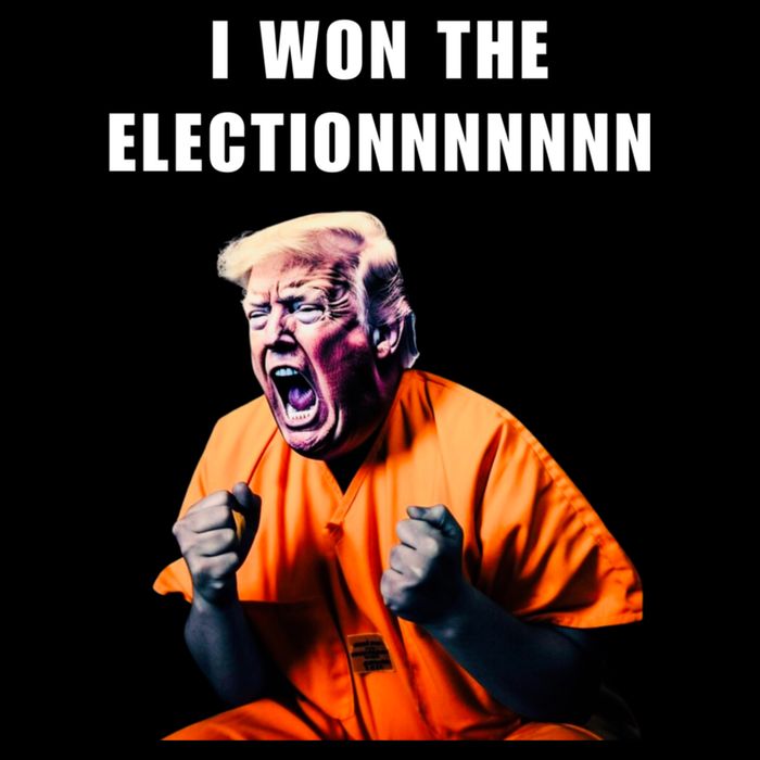 I Won The Election Funny Trump Prisoner Halloween Costume Premium T-Shirt