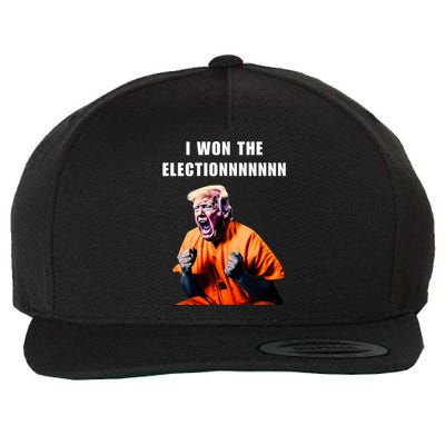 I Won The Election Funny Trump Prisoner Halloween Costume Wool Snapback Cap