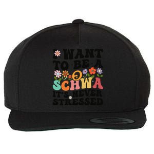 I Want To Be A Schwa ItS Never Stressed Science Of Reading Meaningful Gift Wool Snapback Cap