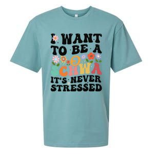 I Want To Be A Schwa ItS Never Stressed Science Of Reading Meaningful Gift Sueded Cloud Jersey T-Shirt