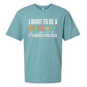 I Want To Be A Schwa ItS Never Stressed Science Of Reading Funny Gift Sueded Cloud Jersey T-Shirt